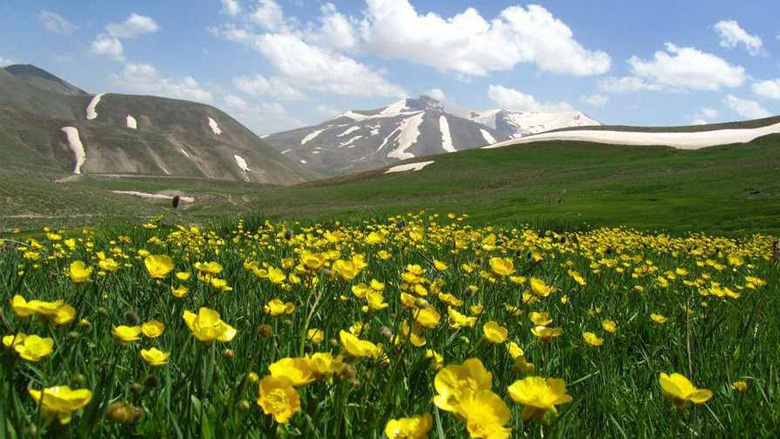 رشته کوه سهند